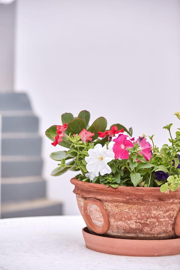 Spetses Retreat Accommodation Екстериор снимка