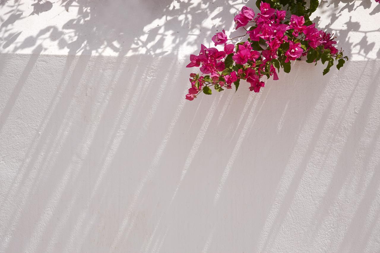 Spetses Retreat Accommodation Екстериор снимка