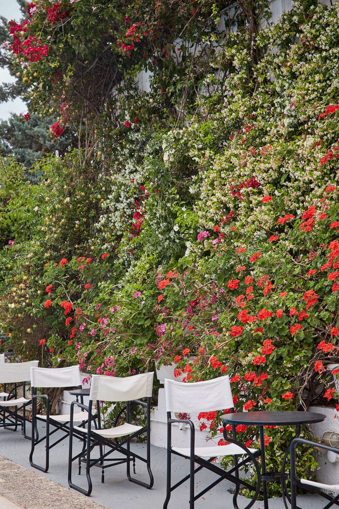 Spetses Retreat Accommodation Екстериор снимка